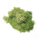 시립목감어울림어린이집 이미지