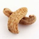 ﻿野生天麻 Gastrodia elata Blume 야생천마 중국자료﻿ 이미지