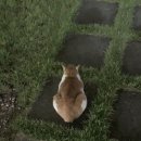 미키PC방(모현점) | 개강은 해도해도 적응이안되네😇