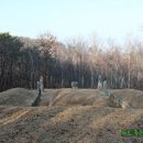 노사신묘와 신도비 이미지