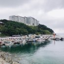 영순이네활어 네이버블로그