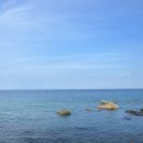 투전PC | 24회 정동진 독립영화제_개막식 (22.08.06)