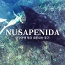 인천공항고등학교 | 발리 누사페니다 여행 만타 가오리 투어 스노쿨링 프리다이빙 아쿠아맨 내돈내산 후기
