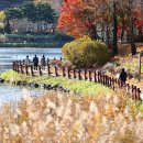 이천시 인공암벽등반장 이미지