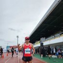 [풀210] 제주MBC 국제마라톤 (2023. 3. 26) 이미지