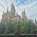 휴먼앤드게임 | 교토&amp;오사카｜3일차 오사카 ::: 돈키콩 연속으로 3번 타게 된 썰 (유니버셜스튜디오．무기토토리...