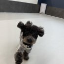 똑독트레이닝스쿨 이미지