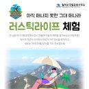 러스틱