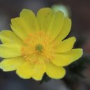 황전(순천) 이미지