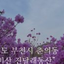 부천시 견인차량보관소 이미지