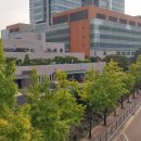 생그린식품주