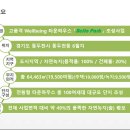 권*택 이미지