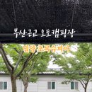 초록슈피아 이미지