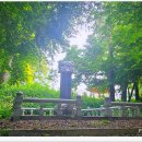 사선대관광지 이미지