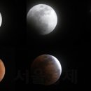 블루문 이미지