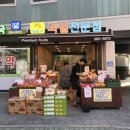 해돋이과일
