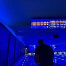 크로바 당구장 이미지