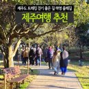 제주 스테이한강 이미지