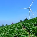 사북읍종합복지회관 이미지