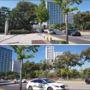 중앙광장 앞 이미지