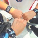 APEC로 | 부산 파충류박람회 코리아 렙타일 포럼 in 부산 벡스코 제1전시장 후기