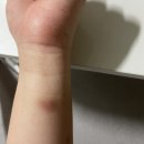 녹원홍삼 | 6월 5주 - 7월 1주차