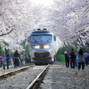 마동동사무소 이미지