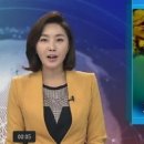 황금개구리 이미지