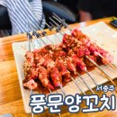 풍문양꼬치 - 평택시 여술4길 60 | 풍문양꼬치