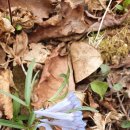 하늘목장 이미지