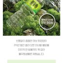 샘물인테리어