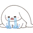 (주)재재투어 이미지