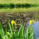 자연이 하는 말을 받아쓰다 이미지
