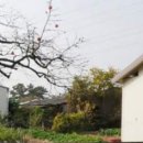 인안1리 이미지