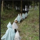 조하유치원 이미지