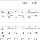 역대 대통령 선거 갤럽 여론조사 추이 (순위는 다 맞춘 갤럽) 이미지