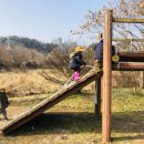 이리남초등학교 이미지