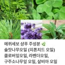 지성떡 이미지