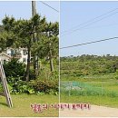 안면도단체펜션수수꽃다리