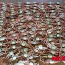 경주수산유통 이미지