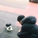 더채움캐슬키즈풀빌라 | 대부도 키즈풀빌라,대부도 여행 '더채움캐슬 키즈풀빌라'