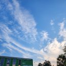 서리풀문화광장 앞 이미지