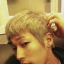 허세 Daum카페