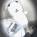 에스랩핑 | 올리브영 어워즈 3관왕 에스네이처 마스크팩, 수분천재크림 크림 &랩핑팩 솔직 후기