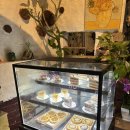 제이그루밍 | 정읍 가볼 만한 곳 정원의 고양이들 카페 제이포렛