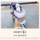 바이올렛 | 에어버기 돔3 라지 바이올렛스톤 조립 및 후기