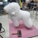 미용사(초급) 이미지