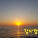 돌고래공인중개사사무소 이미지