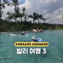 파드마투어 | 아이와 함께한 발리 10박 12일 여행(4~5일차) 파드마 리조트 우붓, 울룬 우붓 리조트 , 반딧불이 투어 후기