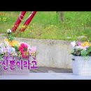 🧡당신뿐이라고/ 가수주채연​ 🎁담양리조트온천야외특설무대 /CMB광주방송 "행복충전" 이미지